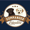 Commander Labradors South Texas